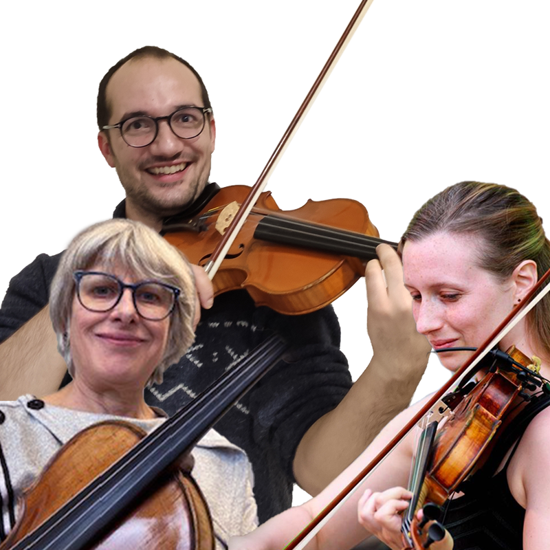 violonsx3